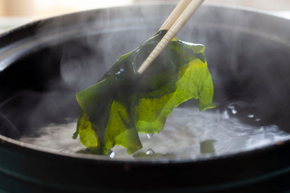 〜収穫仕立ての美味しさを〜鳴門産冷凍わかめ