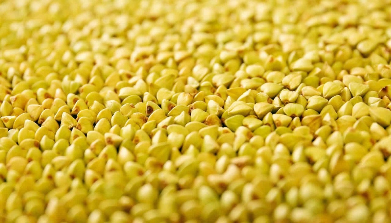 三沢製麵×濱醤油醸造場 冬のプレミアム麺つゆ【100本限定】