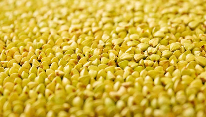 三沢製麵×濱醤油醸造場 冬のプレミアム麺つゆ【100本限定】